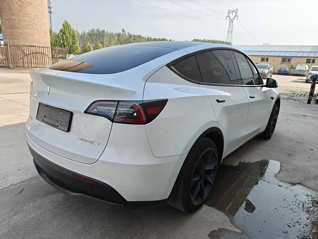 Tesla Model Y — фото 4