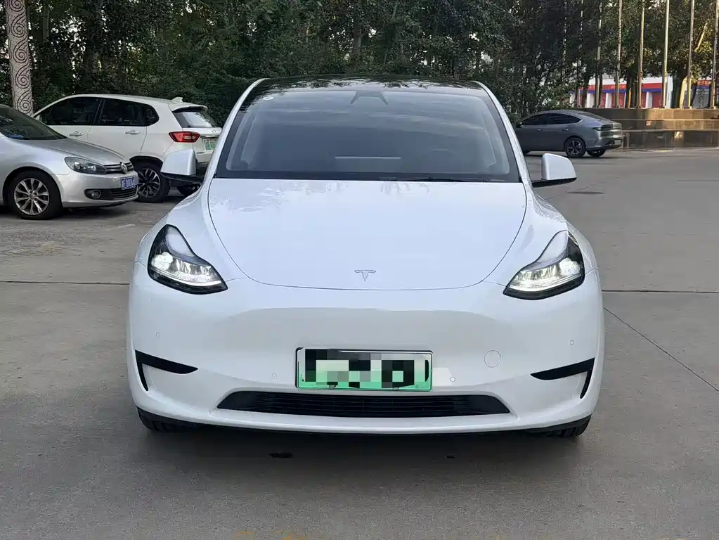 Tesla Model Y — фото 2