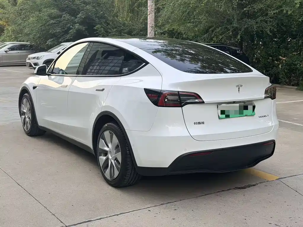Tesla Model Y — фото 3