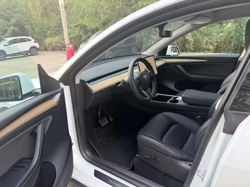 Tesla Model Y — фото 6