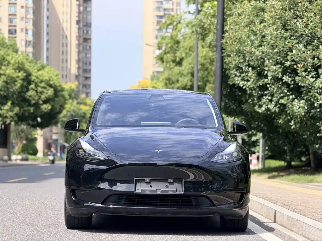 Tesla Model Y — фото 2