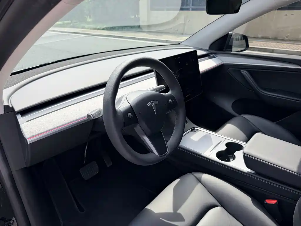 Tesla Model Y — фото 13