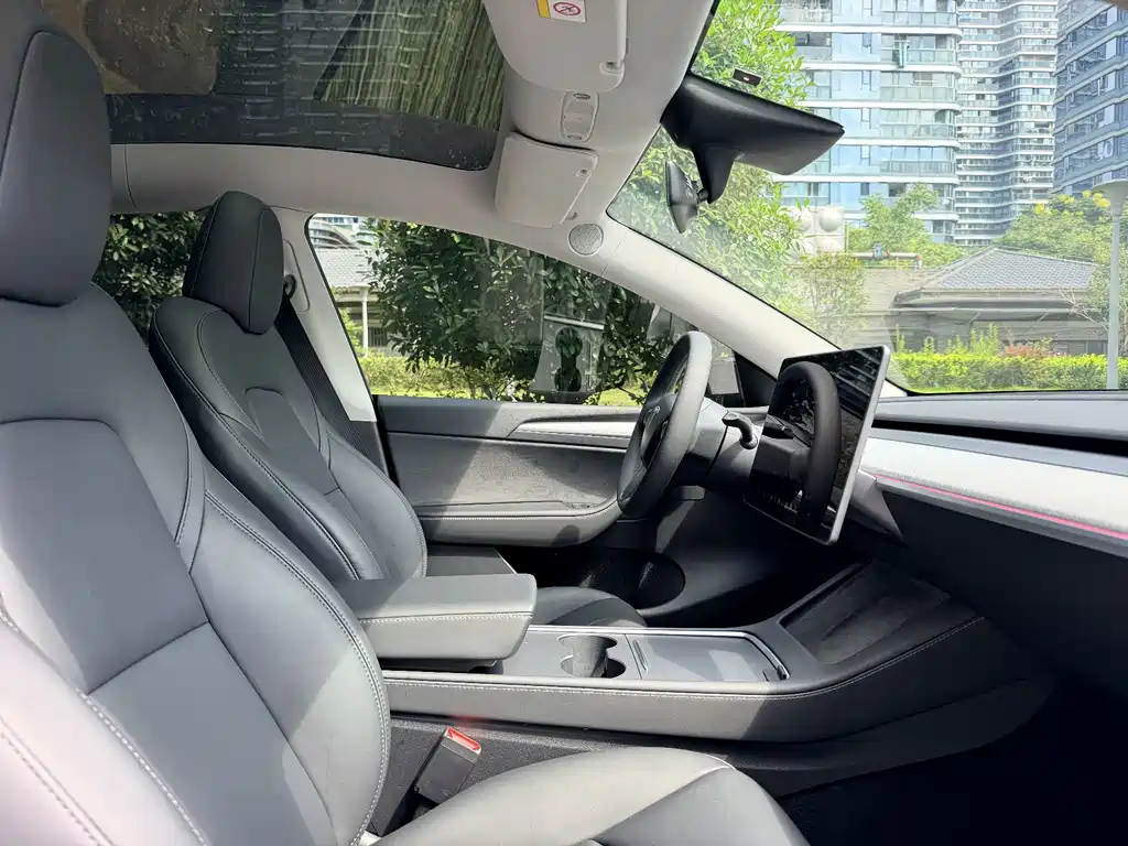 Tesla Model Y — фото 14