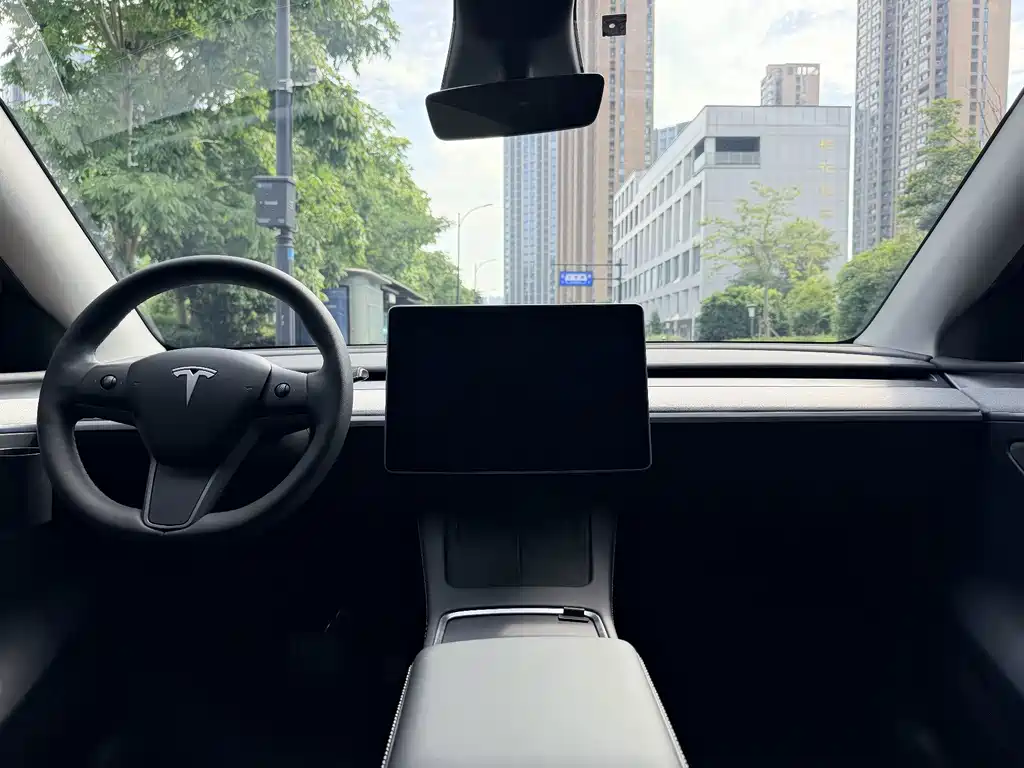 Tesla Model Y — фото 15