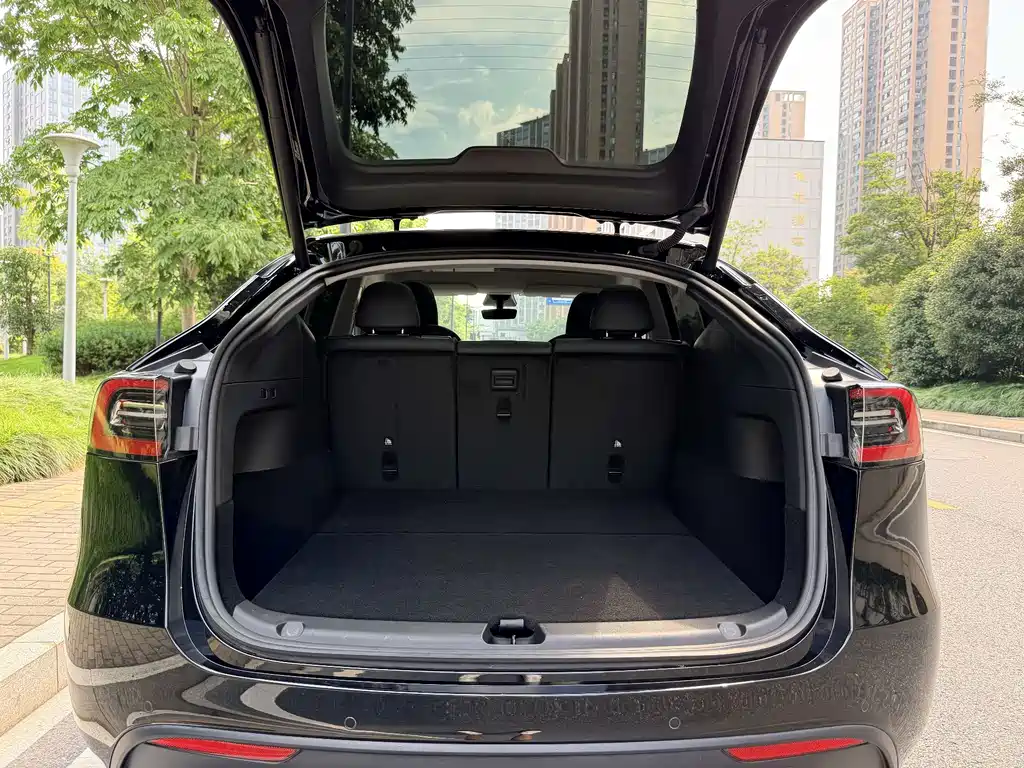 Tesla Model Y — фото 18