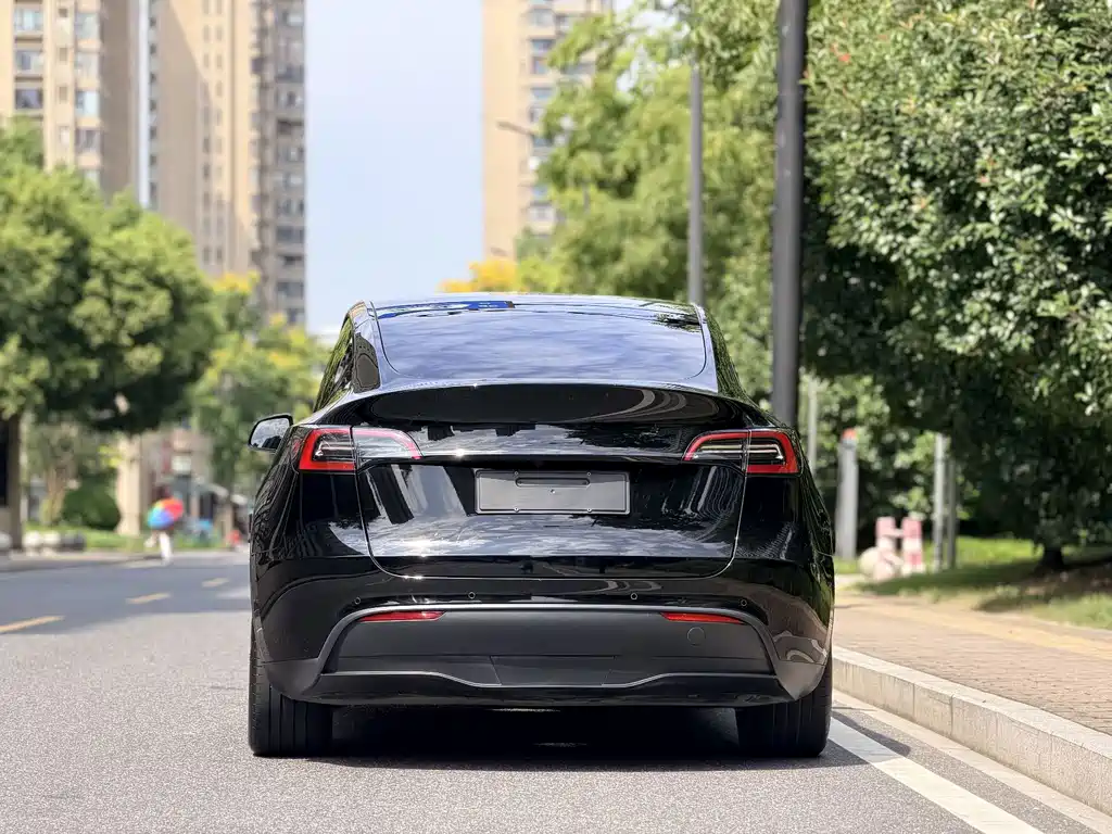 Tesla Model Y — фото 5