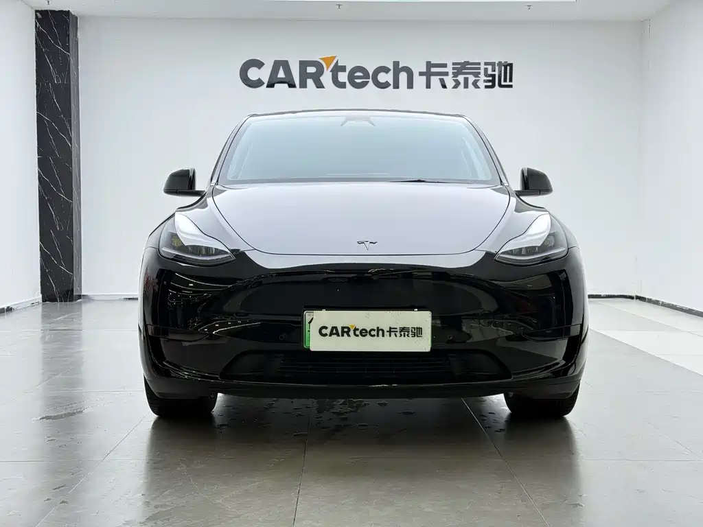 Tesla Model Y — фото 2