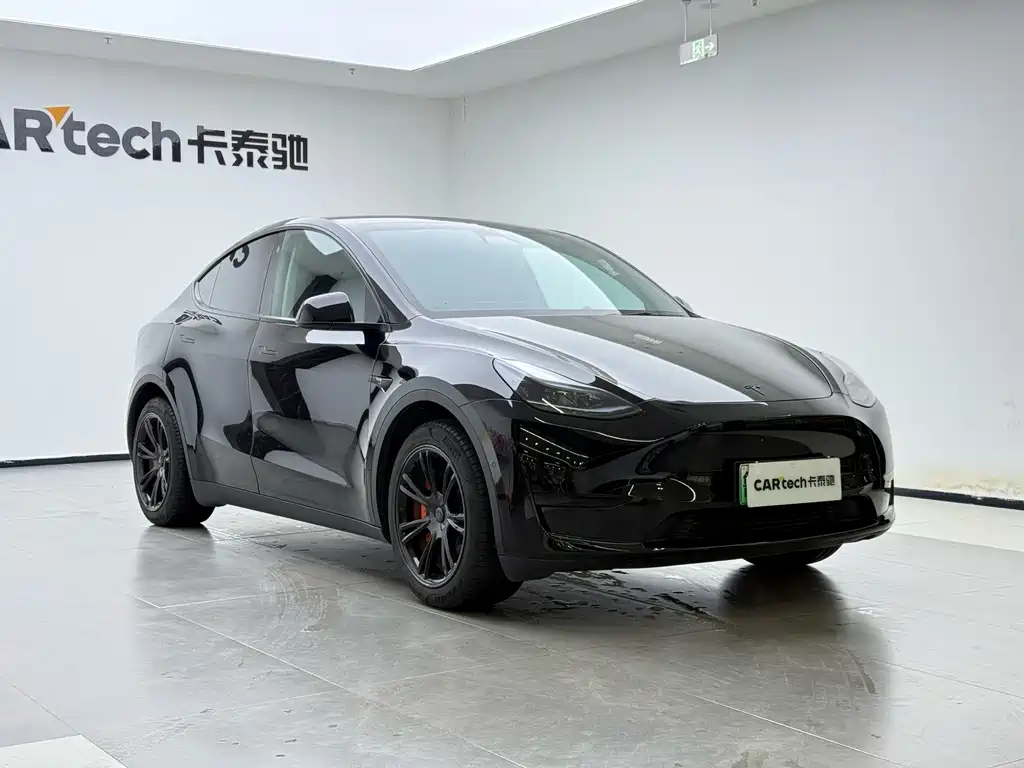 Tesla Model Y — фото 6