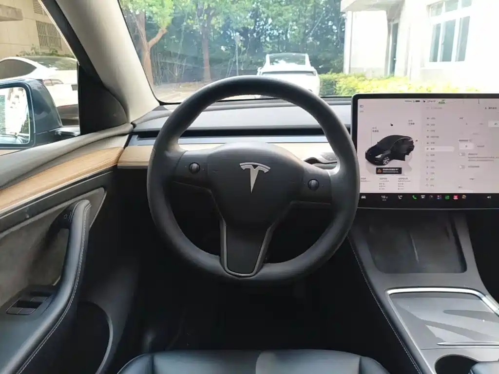 Tesla Model Y — фото 11