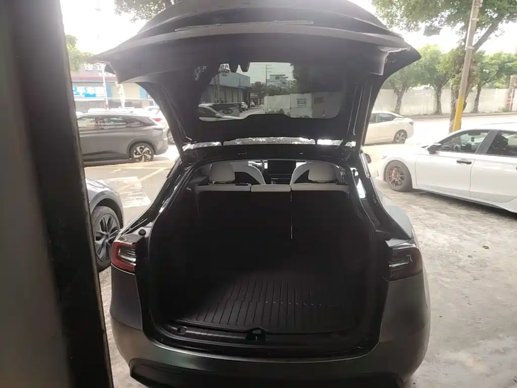 Tesla Model Y — фото 19