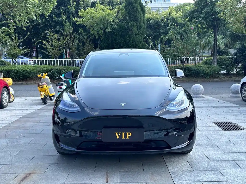 Tesla Model Y — фото 2
