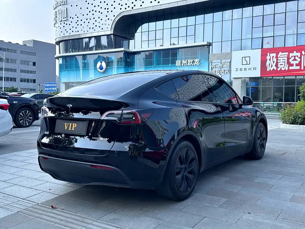 Tesla Model Y — фото 6