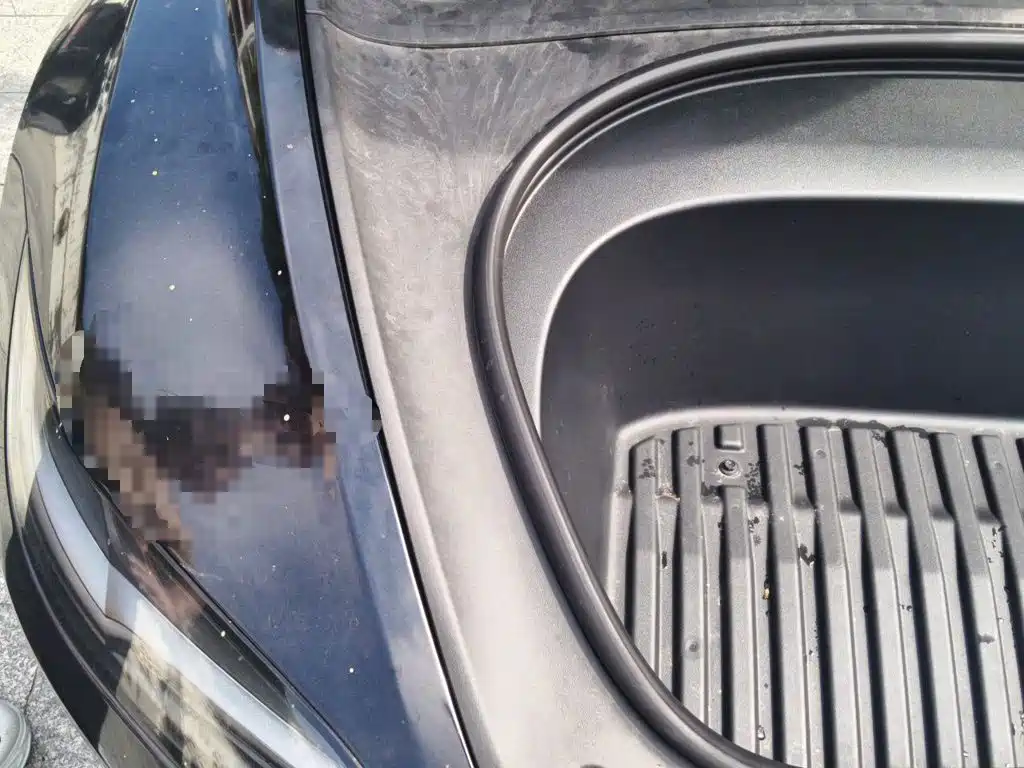 Tesla Model 3 — фото 20
