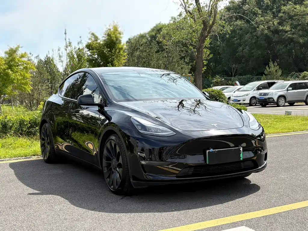 Tesla Model Y — фото 3
