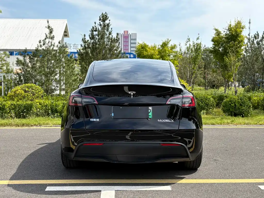 Tesla Model Y — фото 4