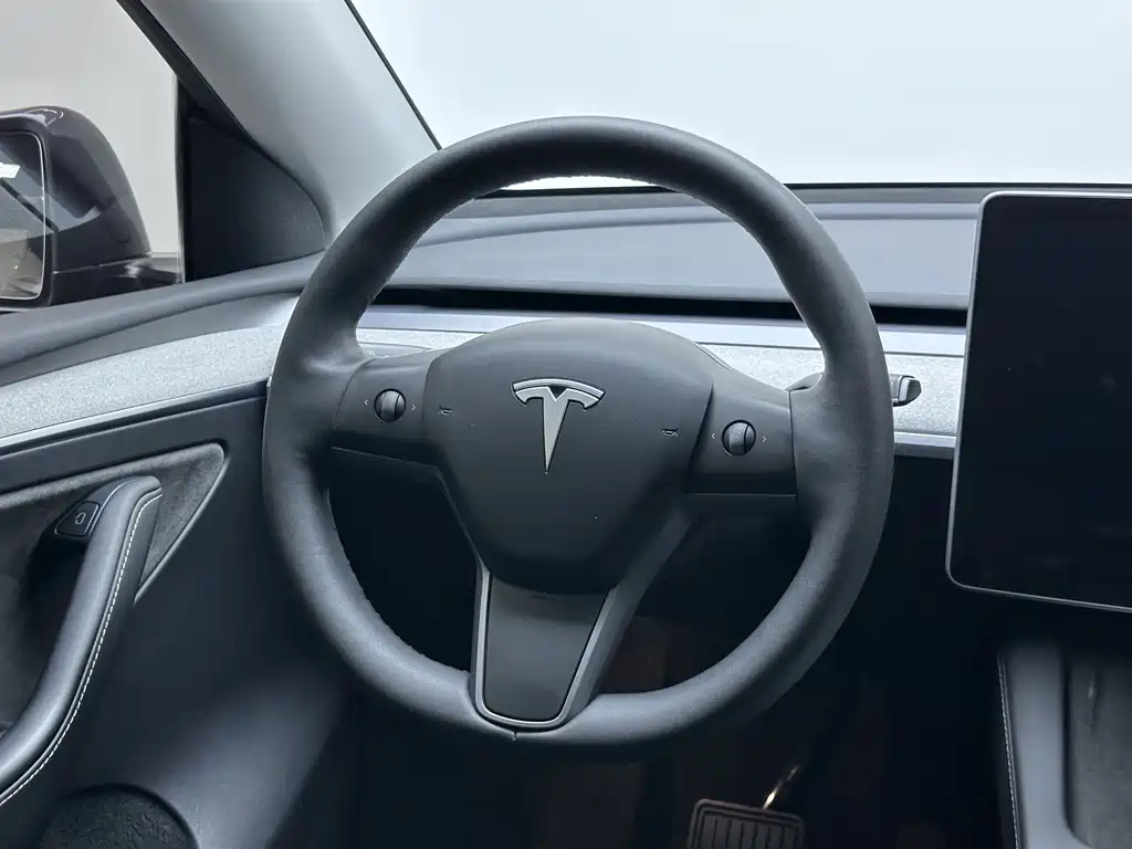 Tesla Model Y — фото 11