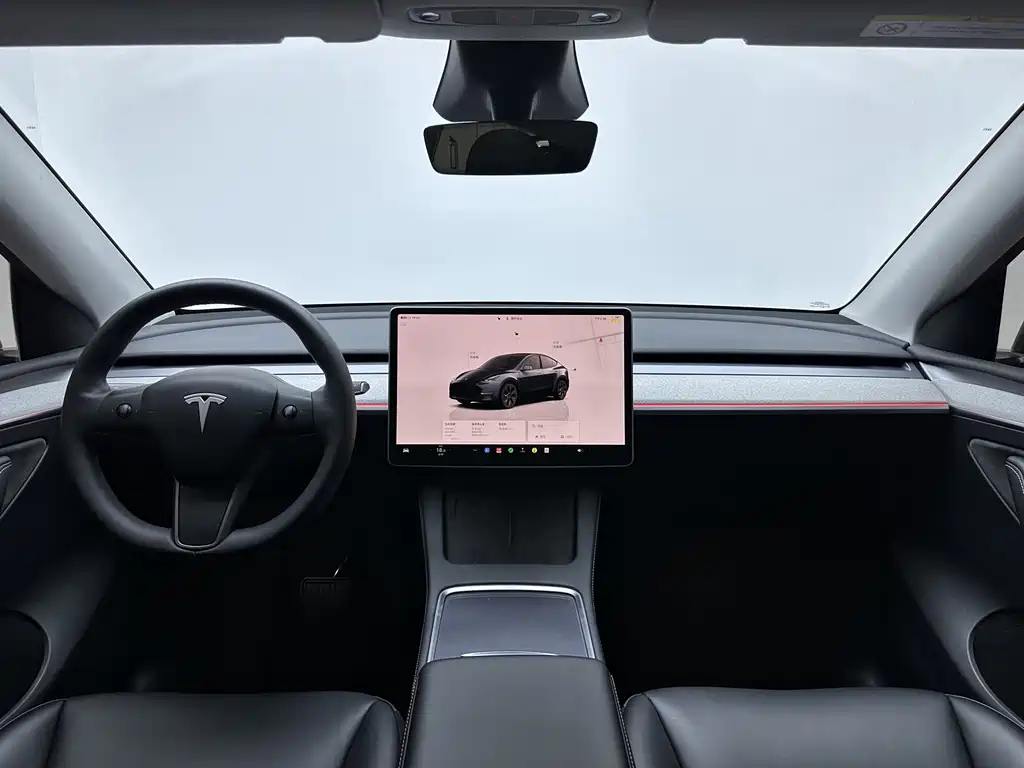 Tesla Model Y — фото 15