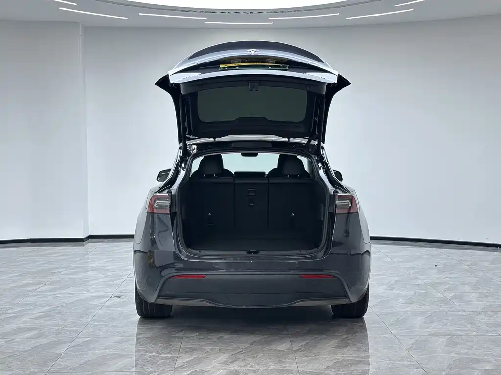Tesla Model Y — фото 18