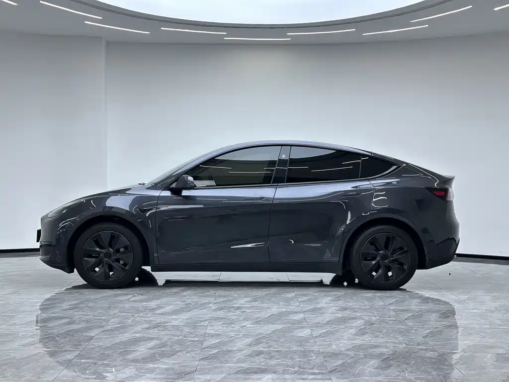 Tesla Model Y — фото 20