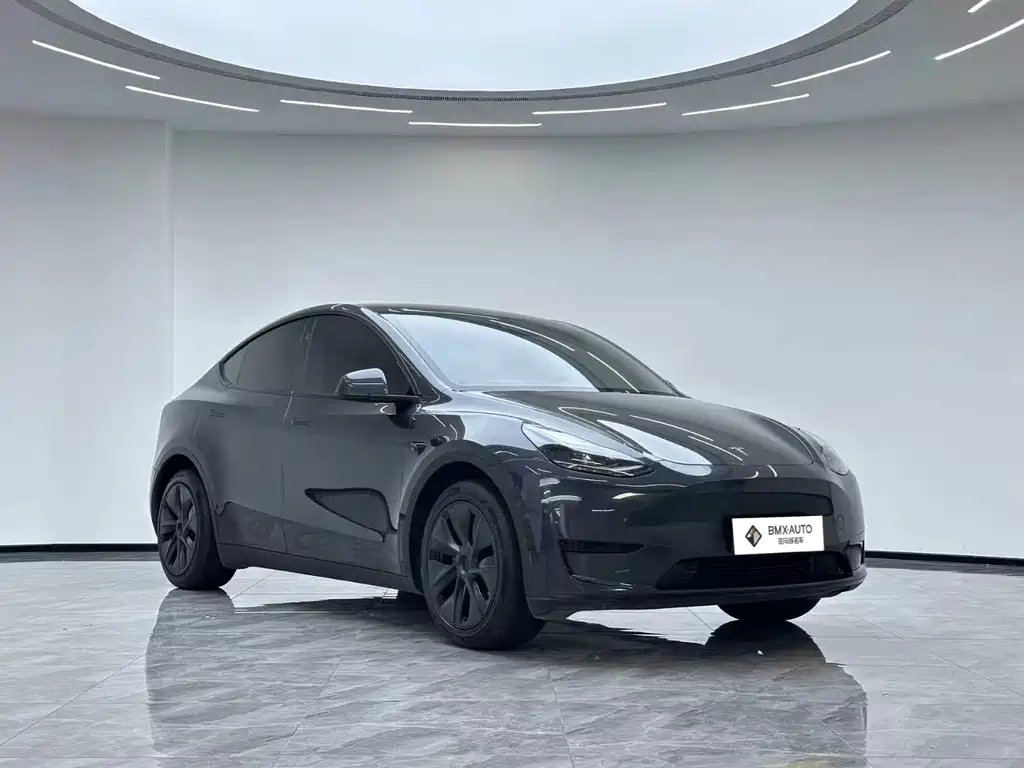 Tesla Model Y — фото 7