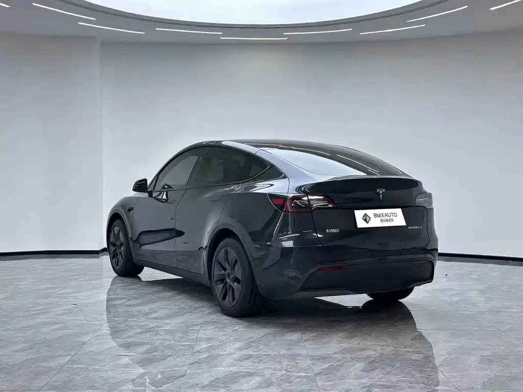 Tesla Model Y — фото 8
