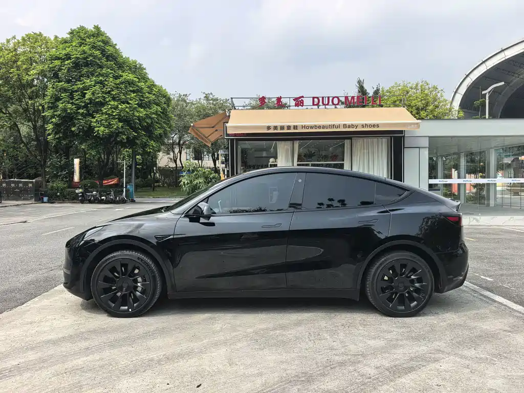 Tesla Model Y — фото 2