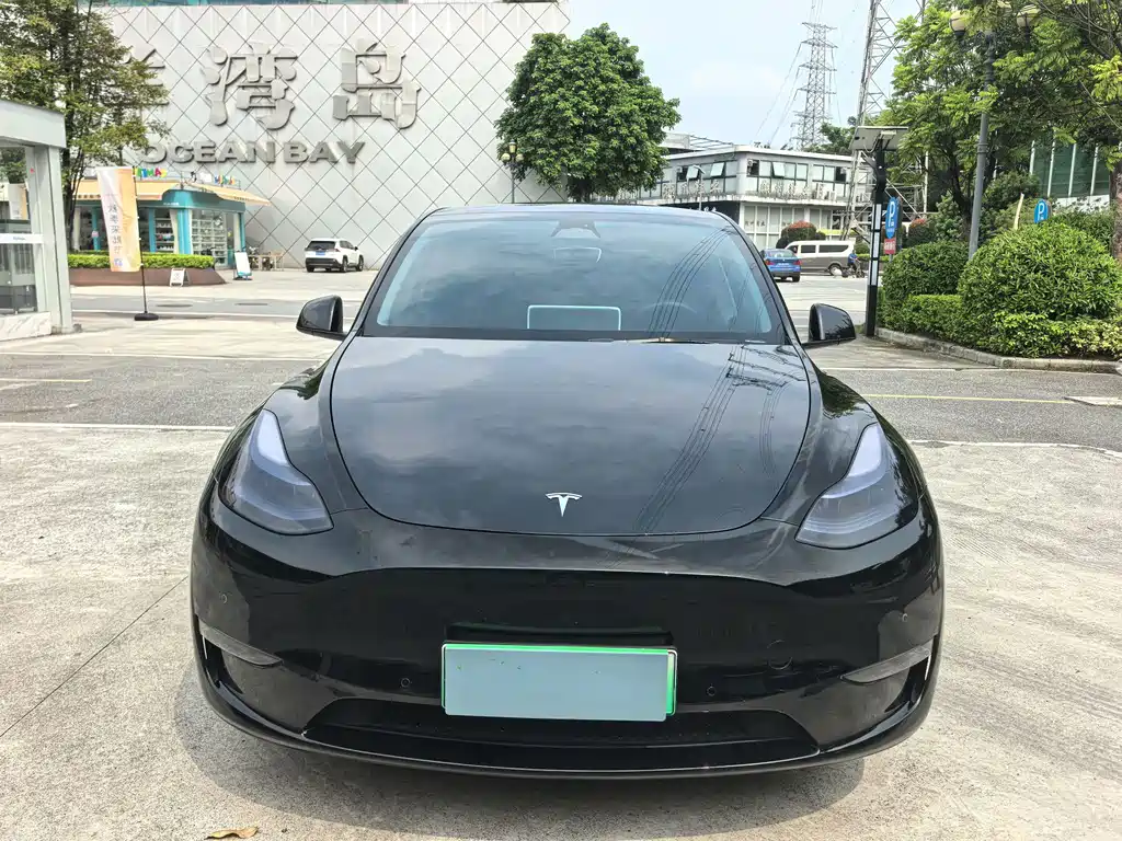 Tesla Model Y — фото 3