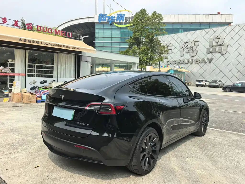 Tesla Model Y — фото 4