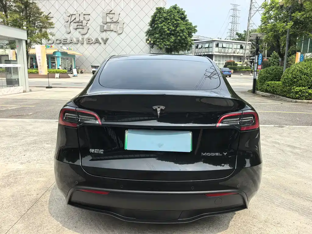 Tesla Model Y — фото 6