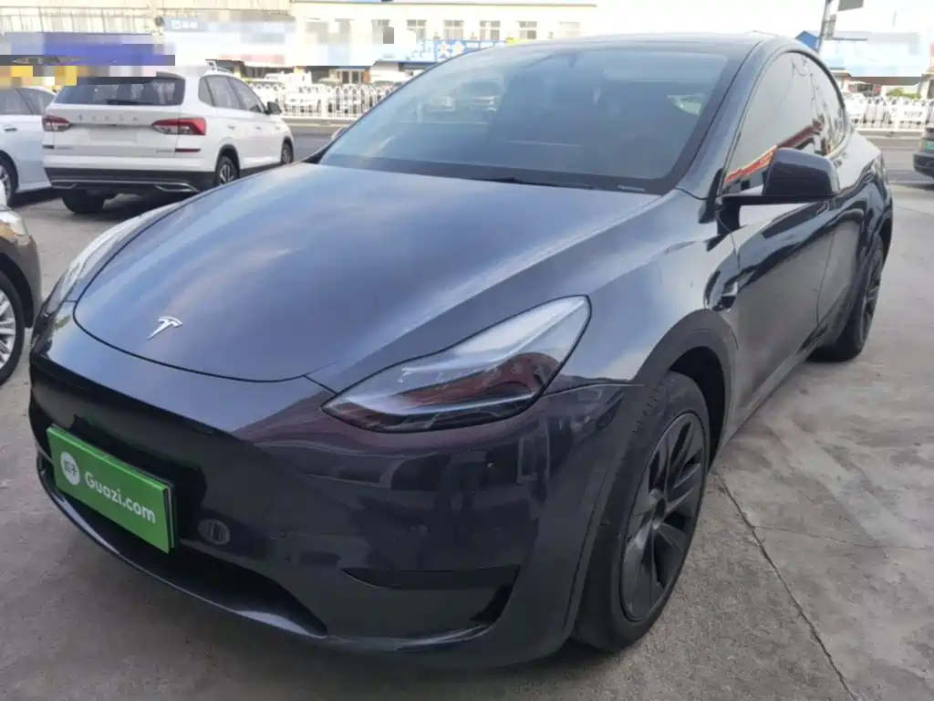 Tesla Model Y — фото 2