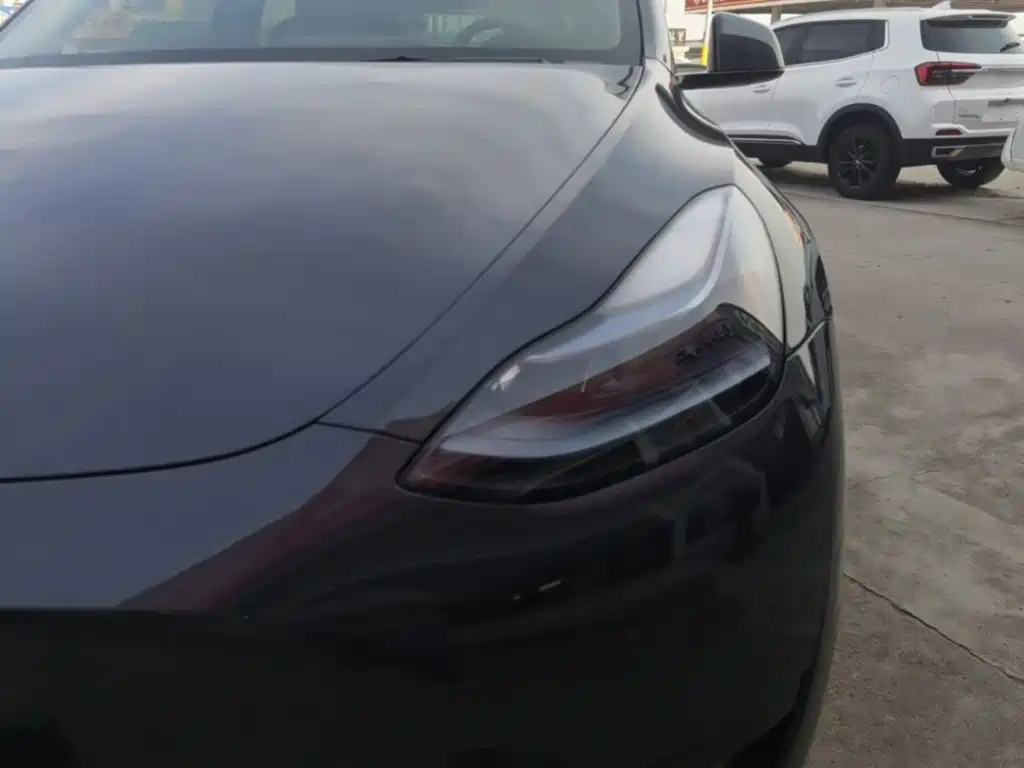 Tesla Model Y — фото 24