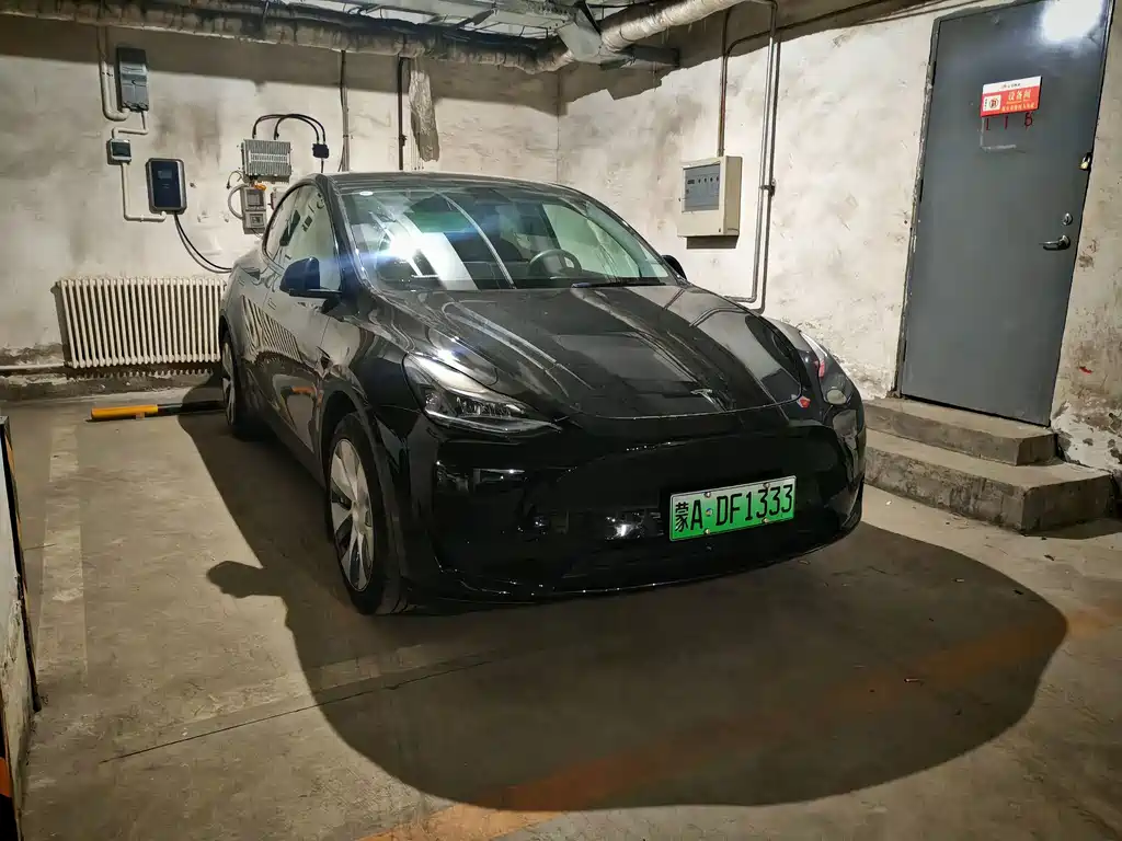 Tesla Model Y — фото 2