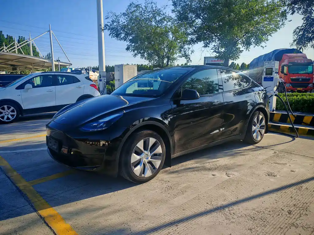Tesla Model Y — фото 7