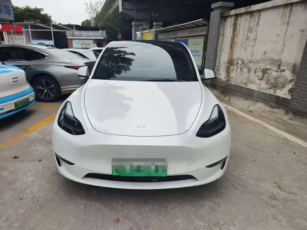 Tesla Model Y — фото 2