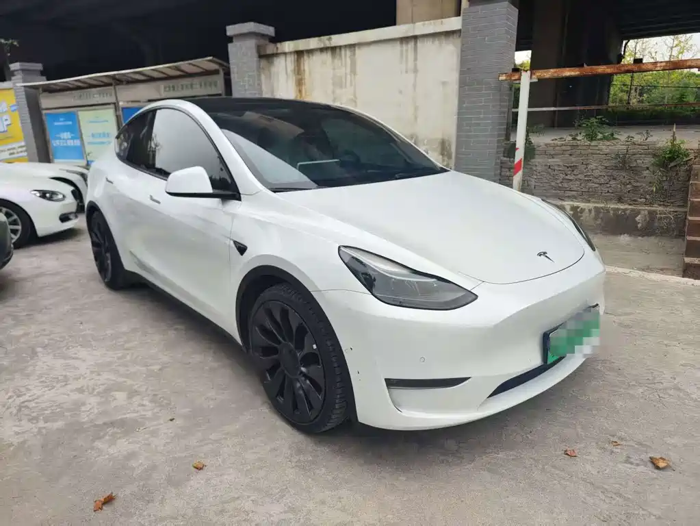 Tesla Model Y — фото 3