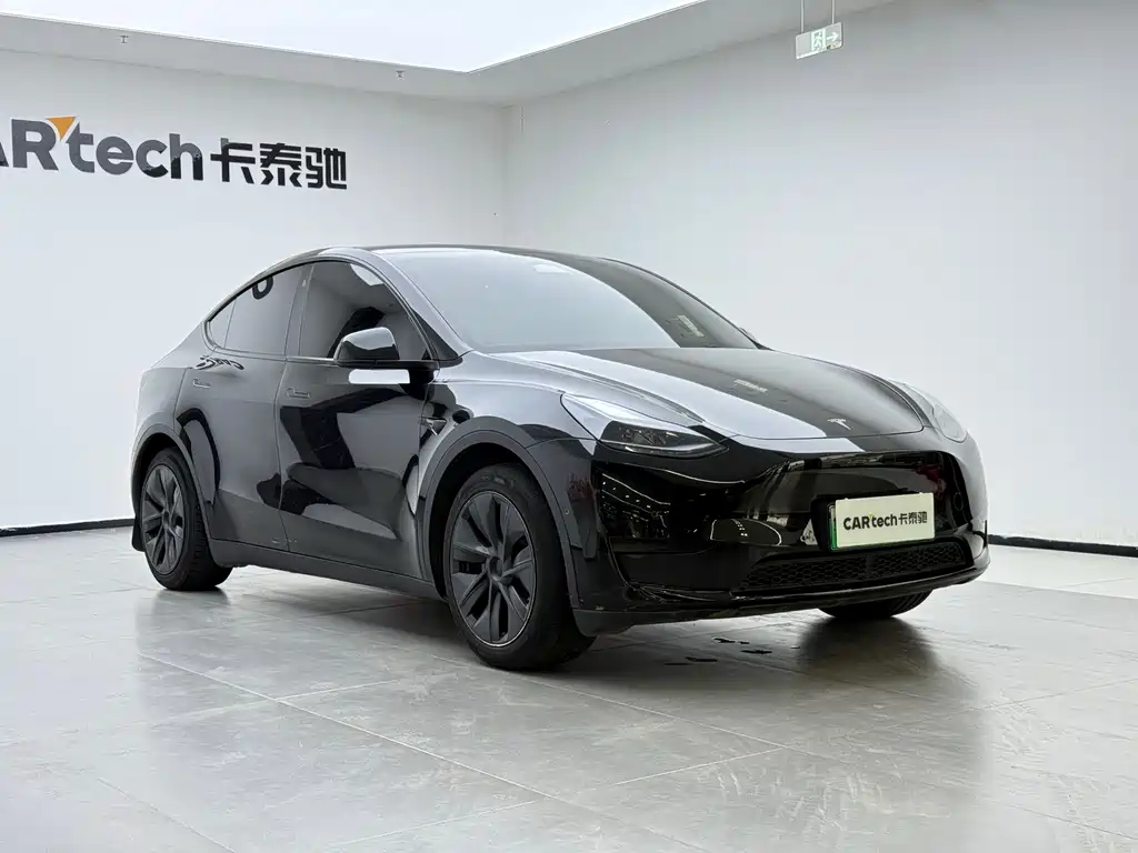 Tesla Model Y — фото 6