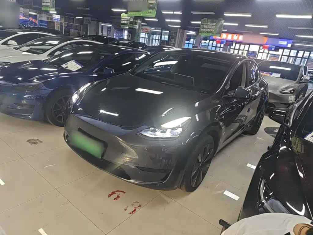 Tesla Model Y — фото 2
