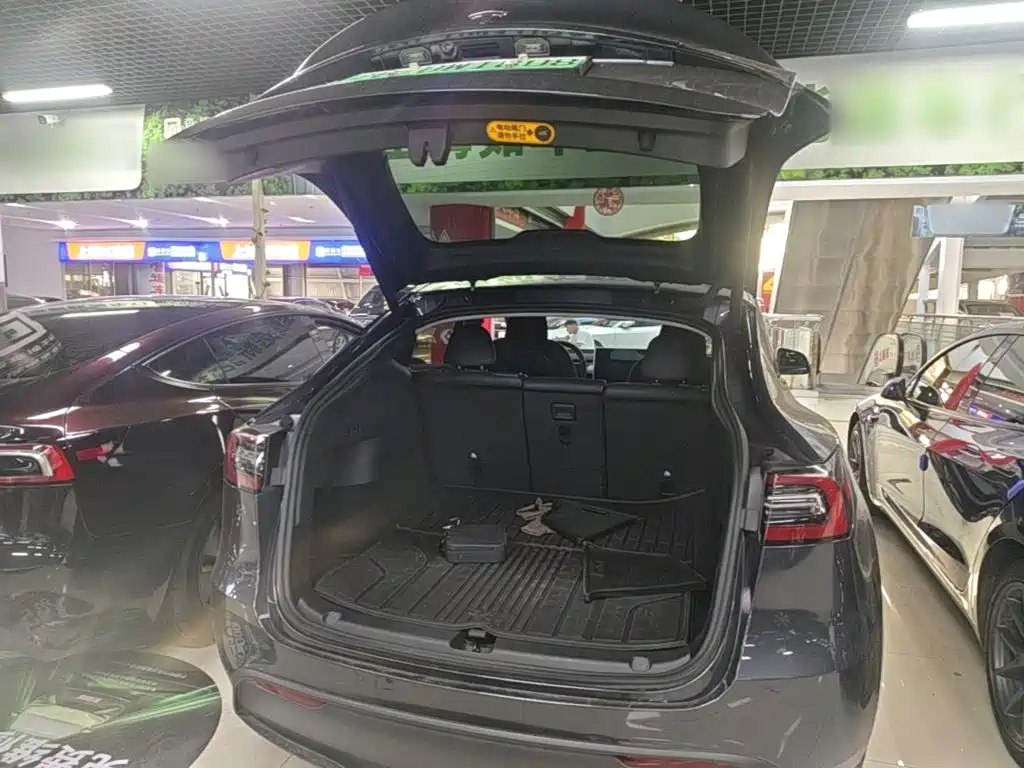Tesla Model Y — фото 19