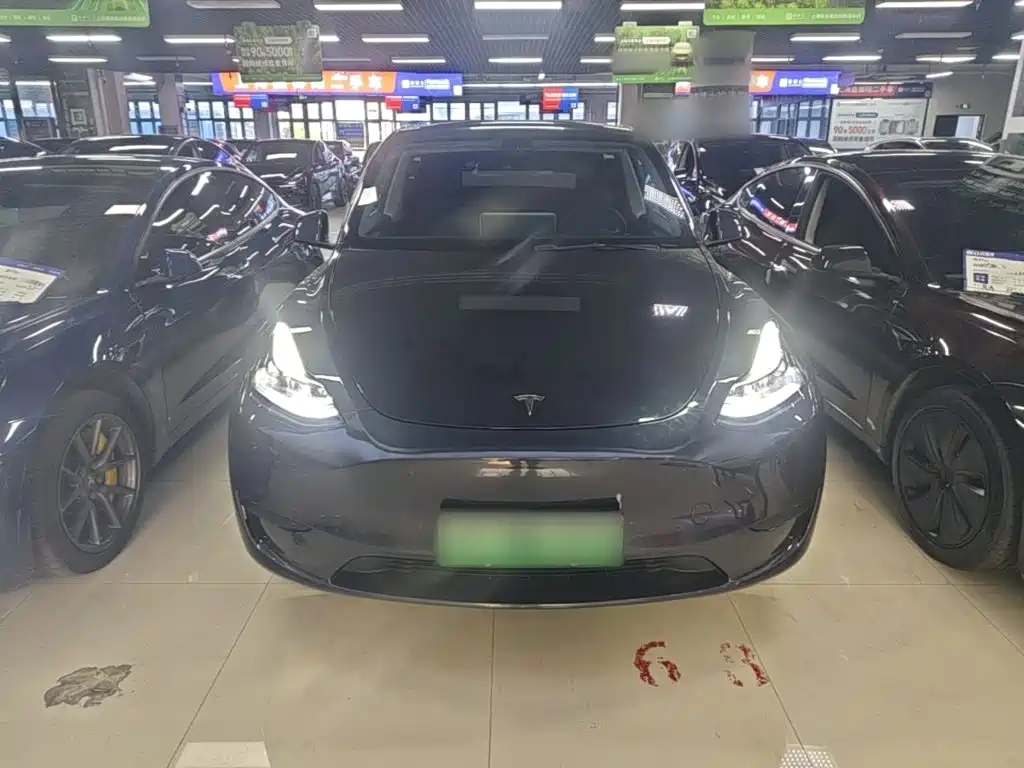 Tesla Model Y — фото 3