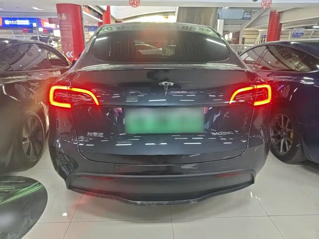 Tesla Model Y — фото 6