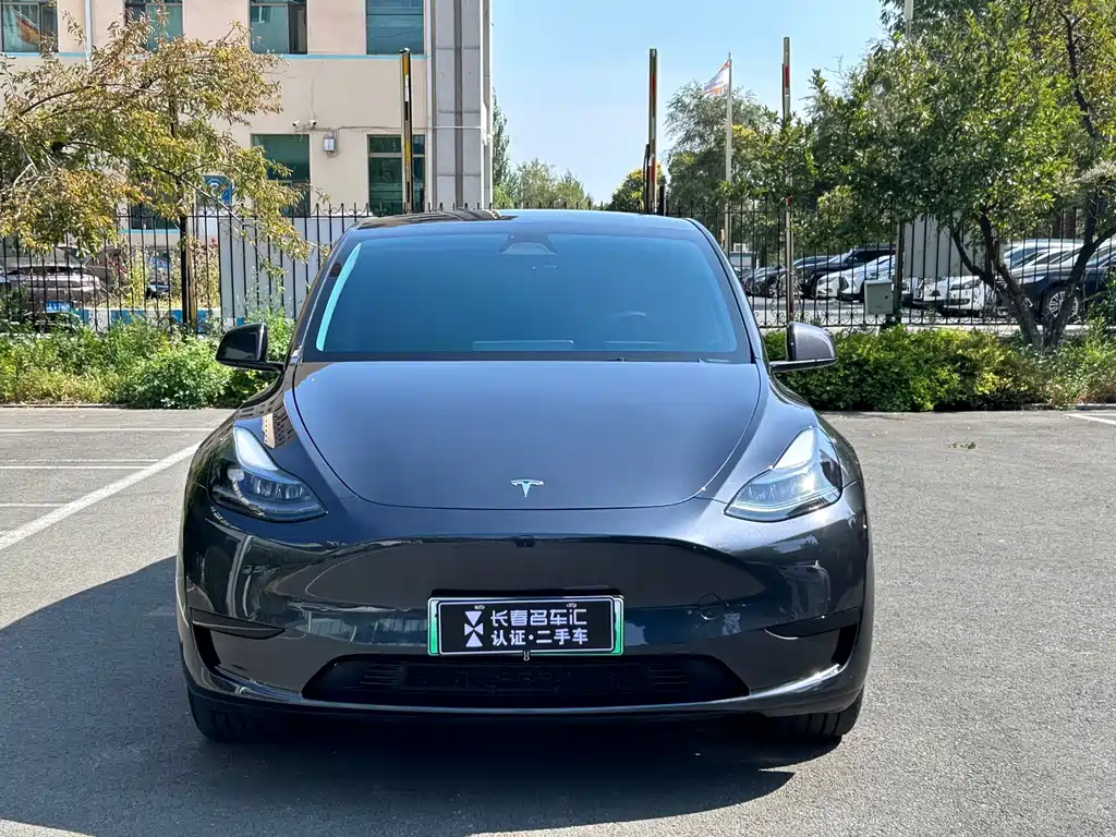 Tesla Model Y — фото 2