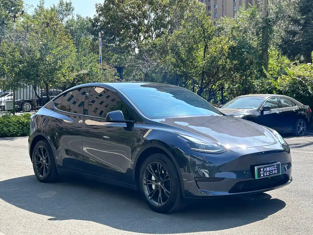 Tesla Model Y — фото 3