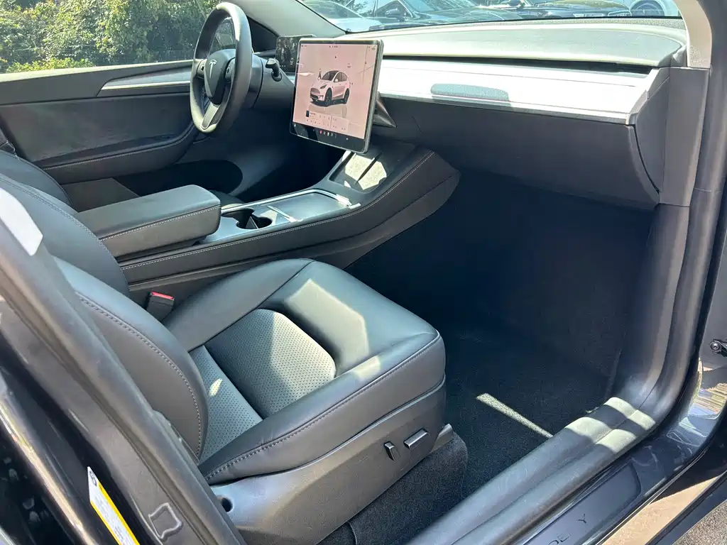 Tesla Model Y — фото 23