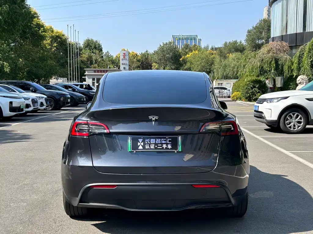 Tesla Model Y — фото 6