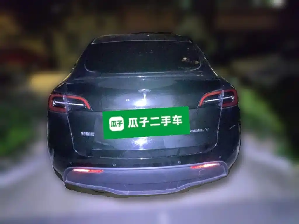 Tesla Model Y — фото 3