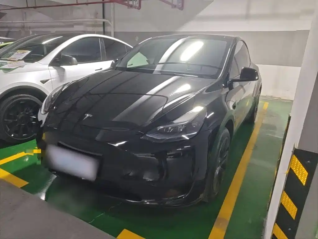 Tesla Model Y — фото 2