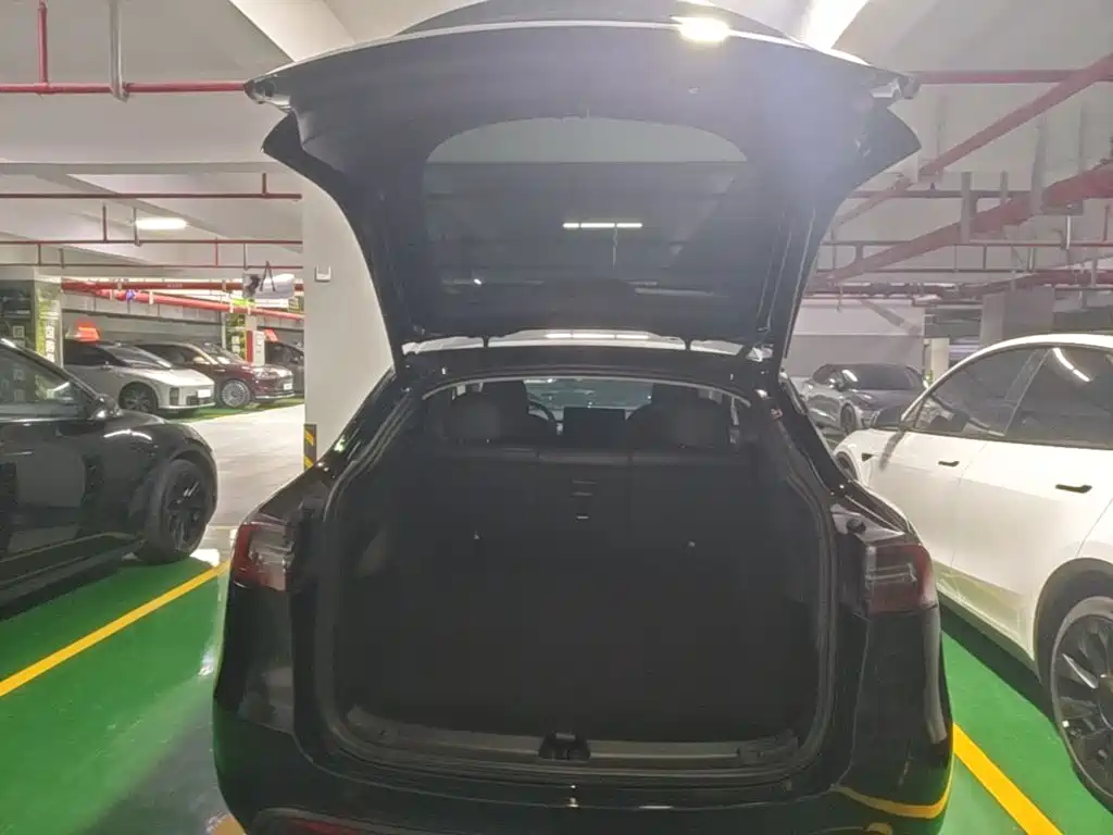 Tesla Model Y — фото 19