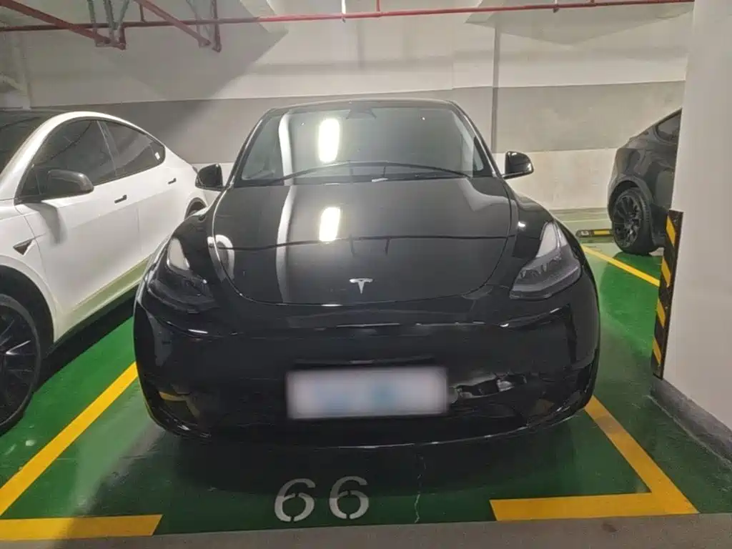 Tesla Model Y — фото 3