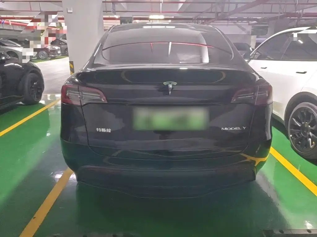 Tesla Model Y — фото 6