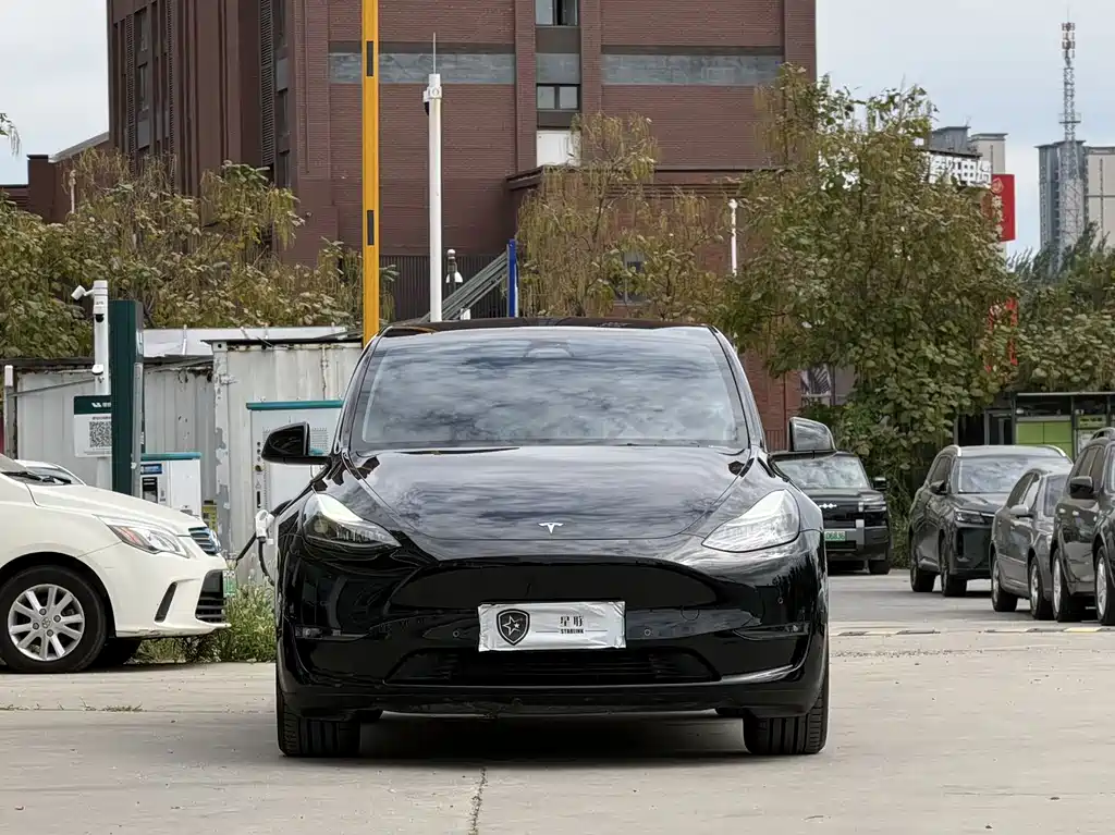Tesla Model Y — фото 2